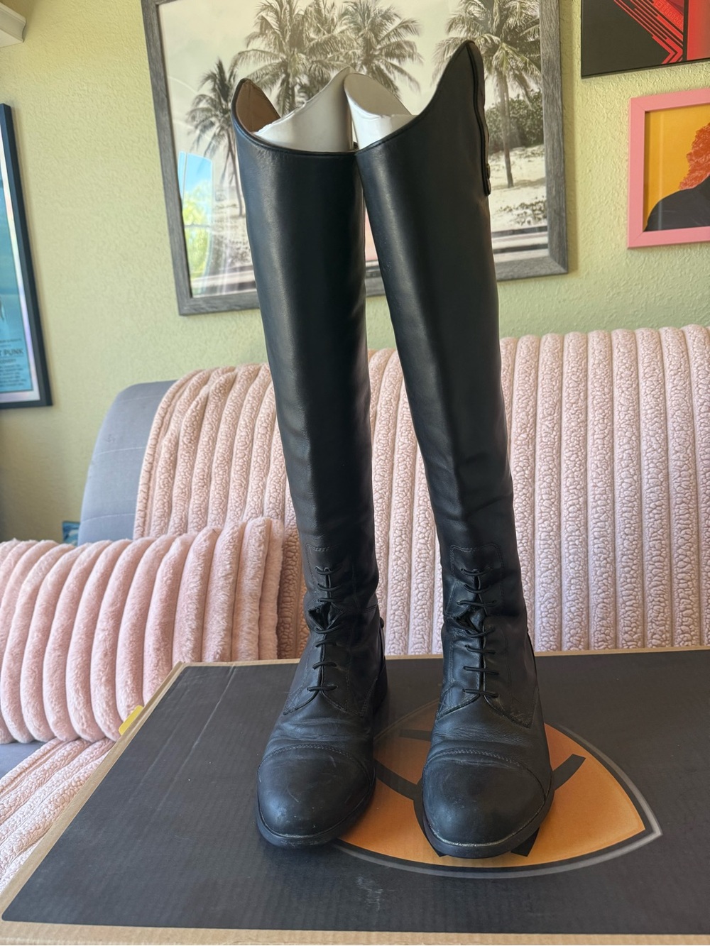 Riding boots - Picture 11 of 16